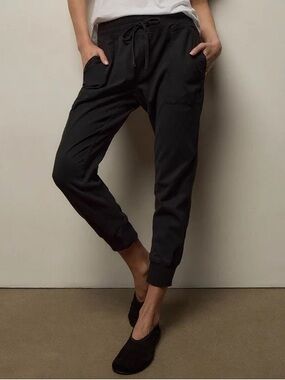Standard James Perse mixed media pant 3 jogger minimalist timeless quiet luxury